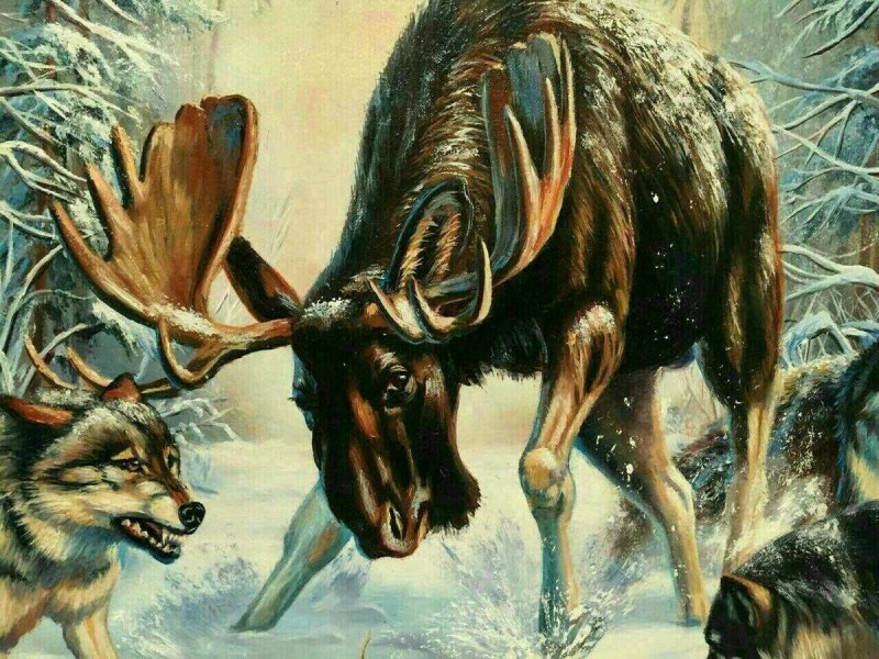 Чернобыльский Лось без головы