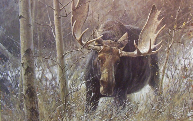 Карл Циммерман художник олени