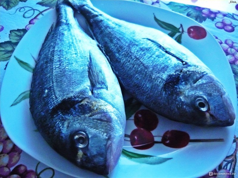 Эль дорадо рыба
