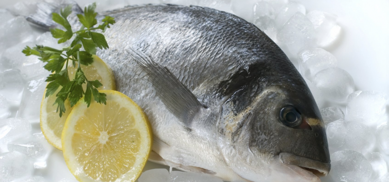 Морской карась дорадо