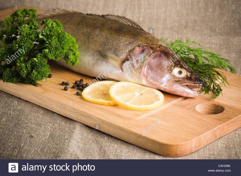Мясо судака