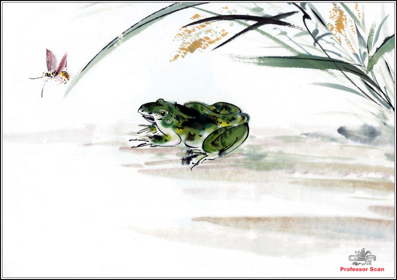 Стеклянная лягушка (Glass Frog)