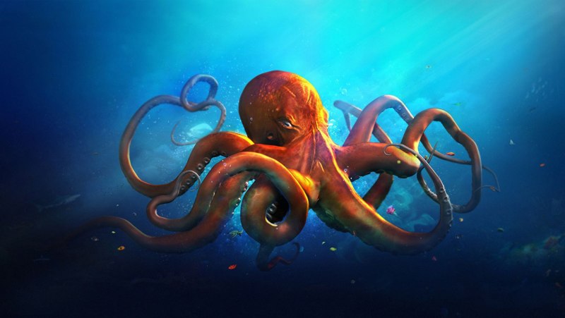 Осьминог Пигмей