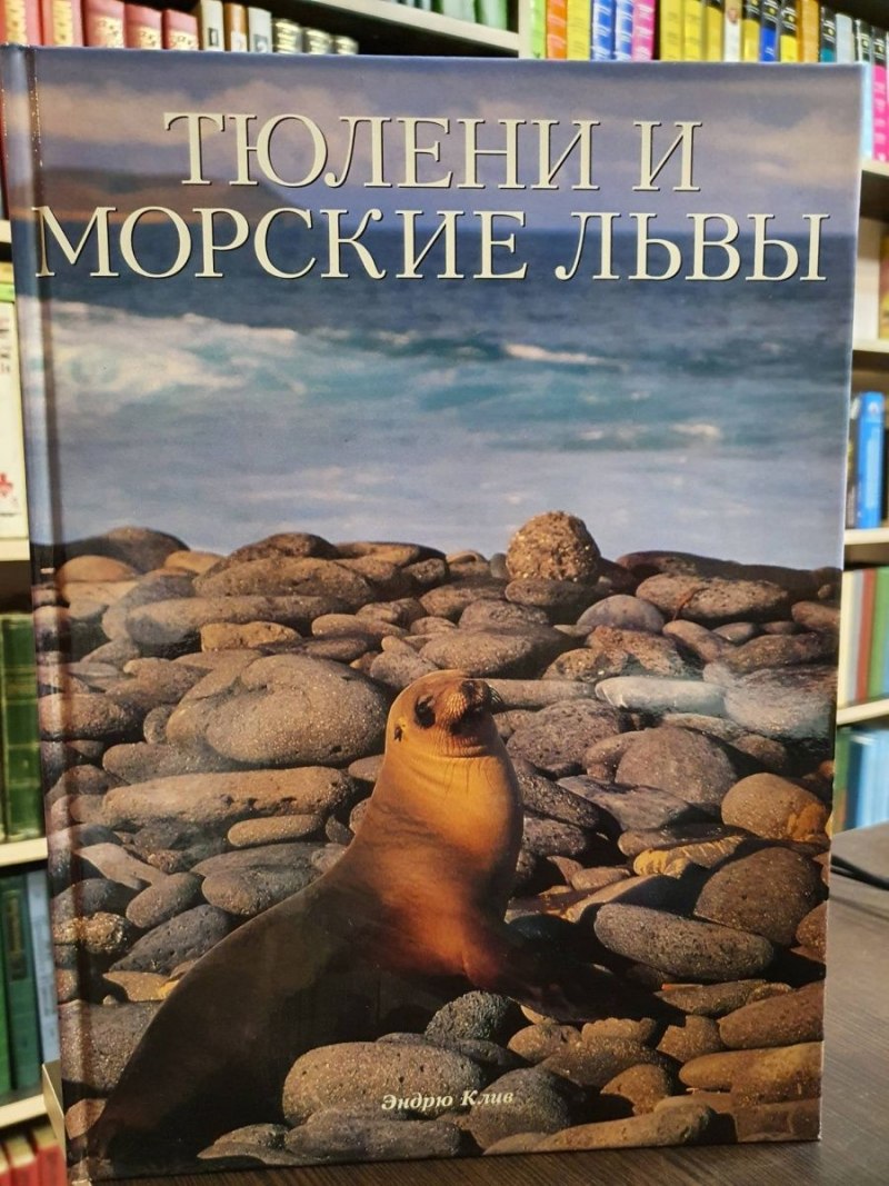 Байкальская Нерпа Белек