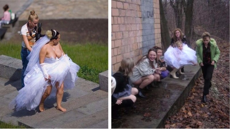 Чайки орут