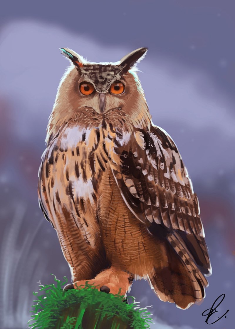 Eurasian Eagle Owl