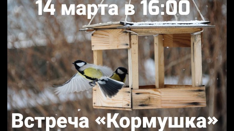Зиновий синичник