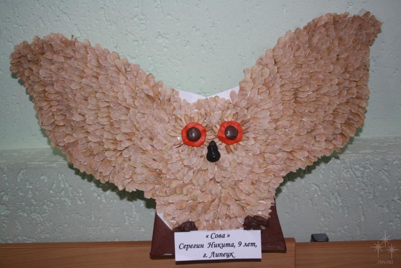 Поделки из коры