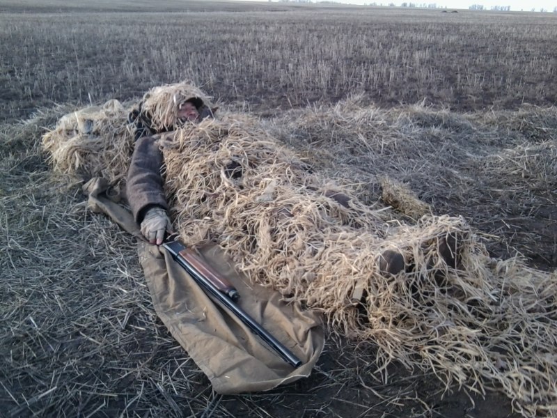 Зимние конные сани
