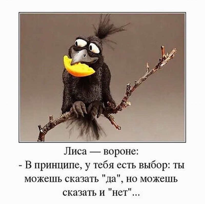 Смешные вороны