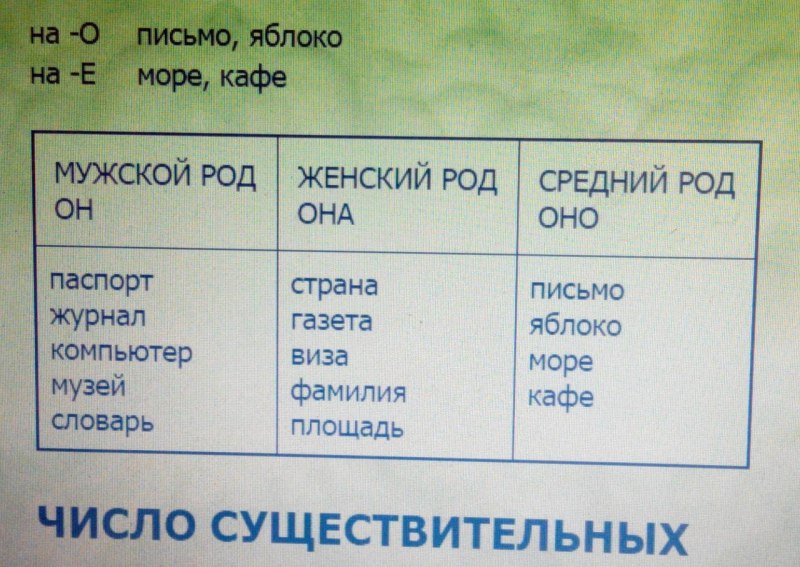 Мужской род женский род средний род