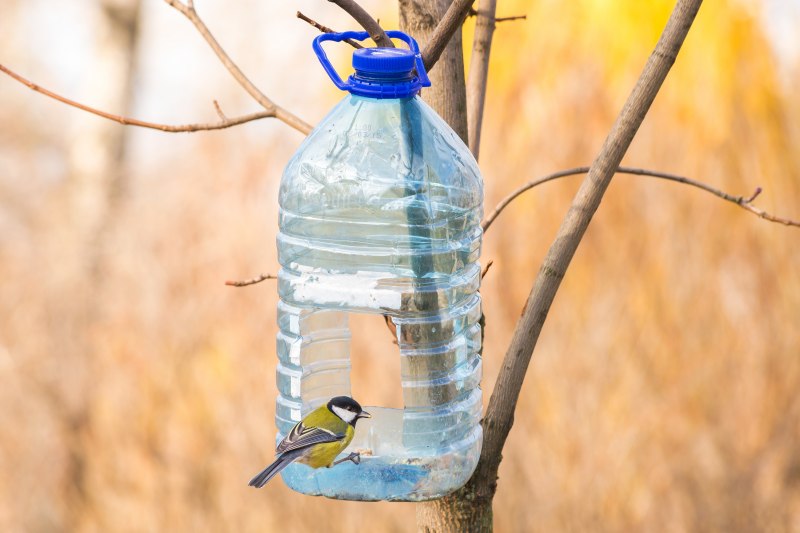 Кормушка для птиц из бутылки (52 фото)