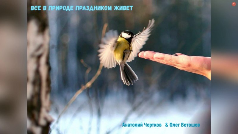 Синичкин день