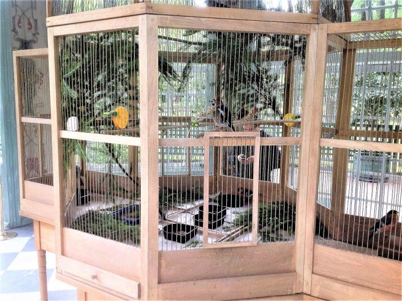 Бенилюкс клетка деревянная Wooden rearing Cage для птиц, 60*30*40 см,
