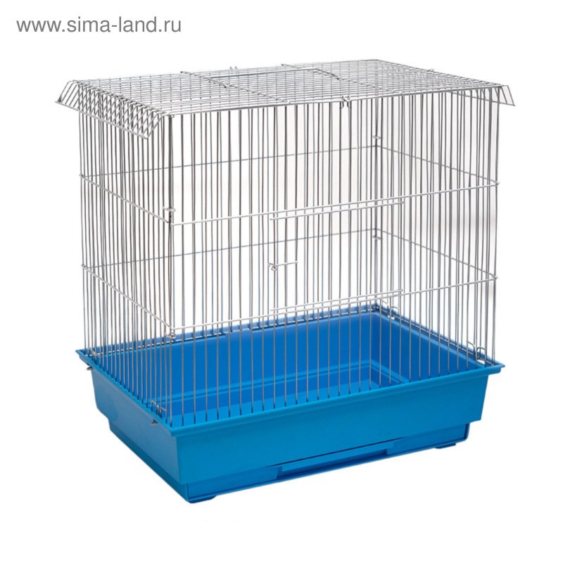 Соловей птенец слеток