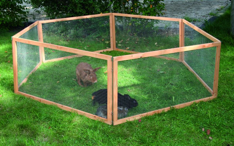 Костюм фазана