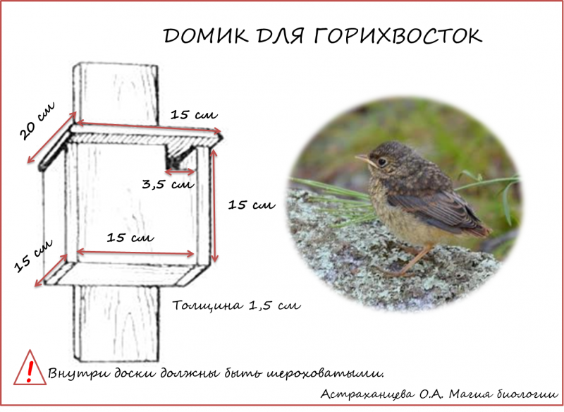 Синичник чертеж дом для птиц