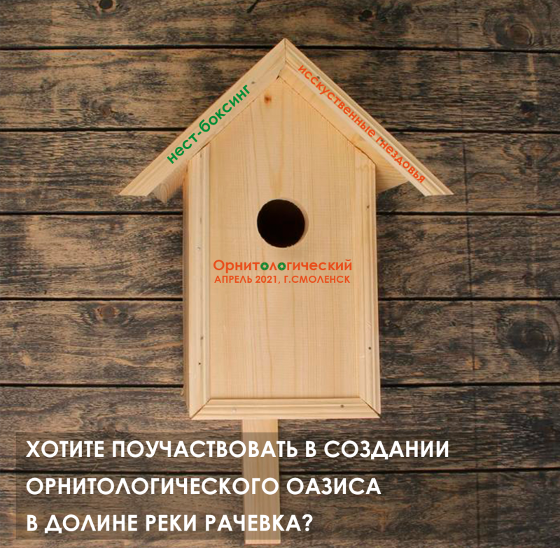 Скворечник Размеры чертёж односкатный