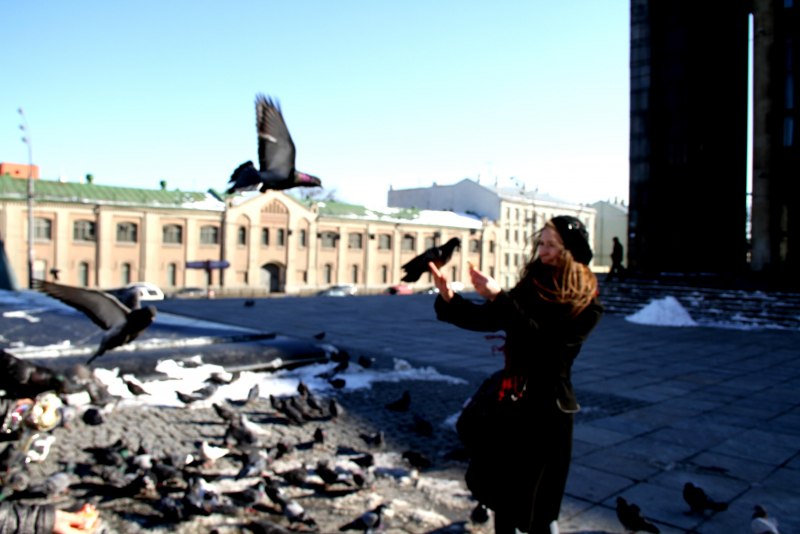 Голуби в городе