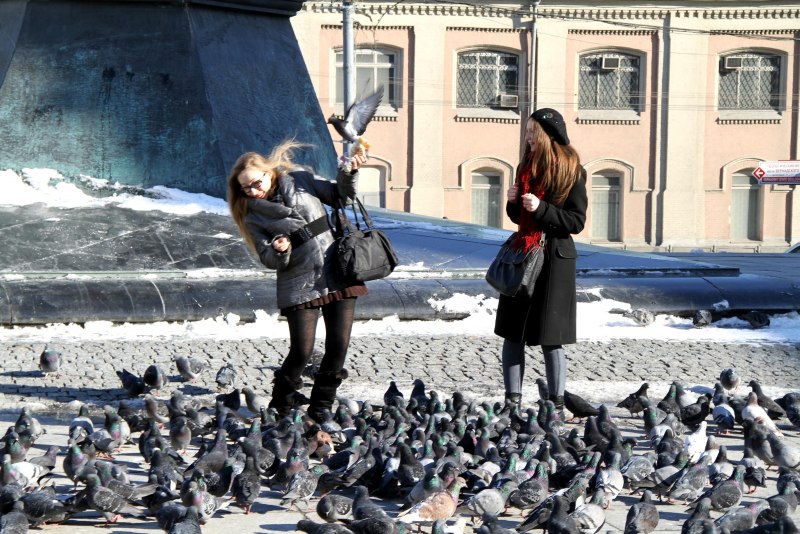 Человек голубь