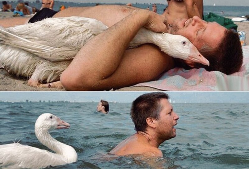 Душить гуся