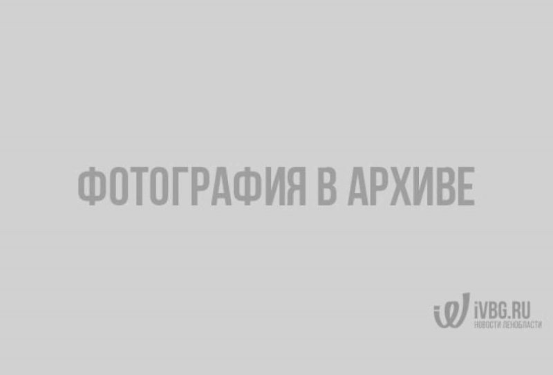 Винногорлая Колибри