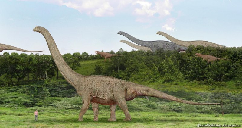 Argentinosaurus huinculensis