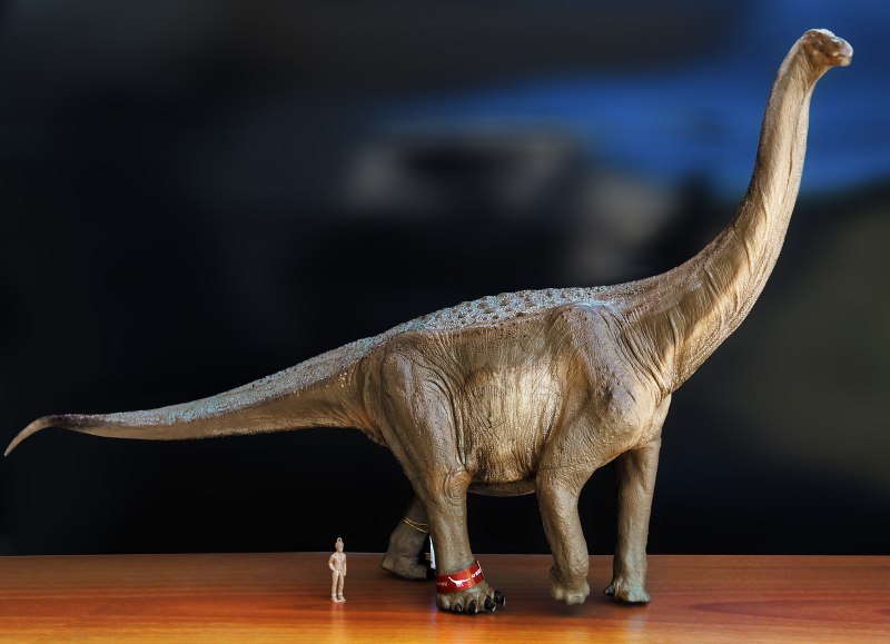 Argentinosaurus huinculensis
