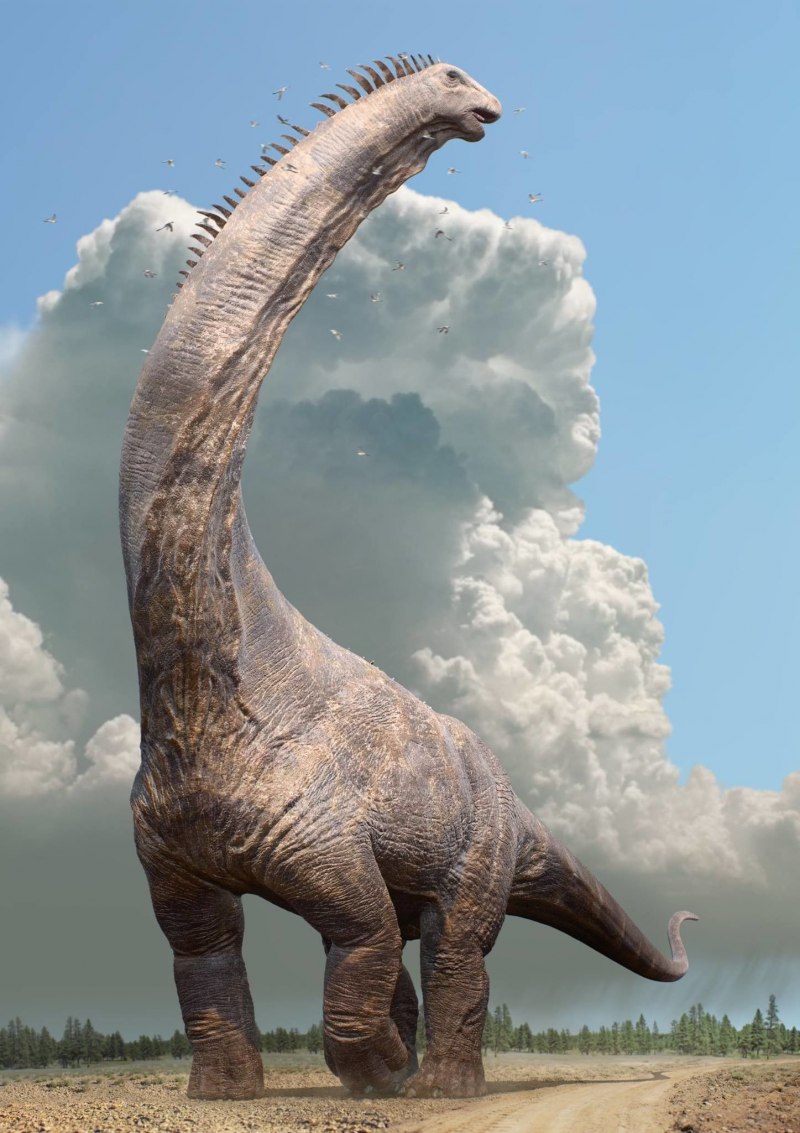 Аргентинозавр 3d