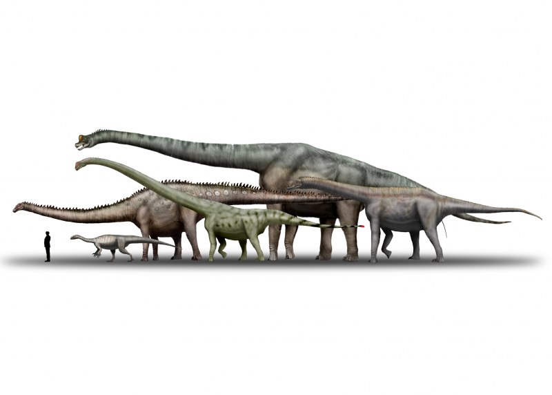 Mamenchisaurus hochuanensis