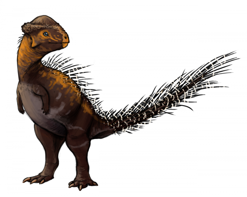 Stegoceras динозавр