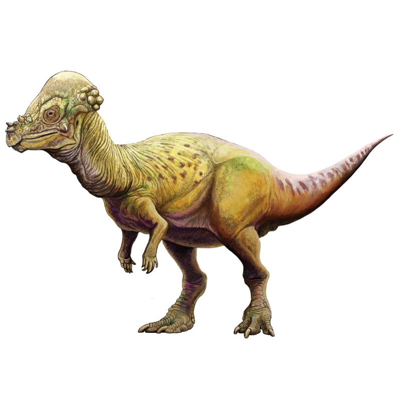 Primal Carnage Extinction Pachycephalosaurus