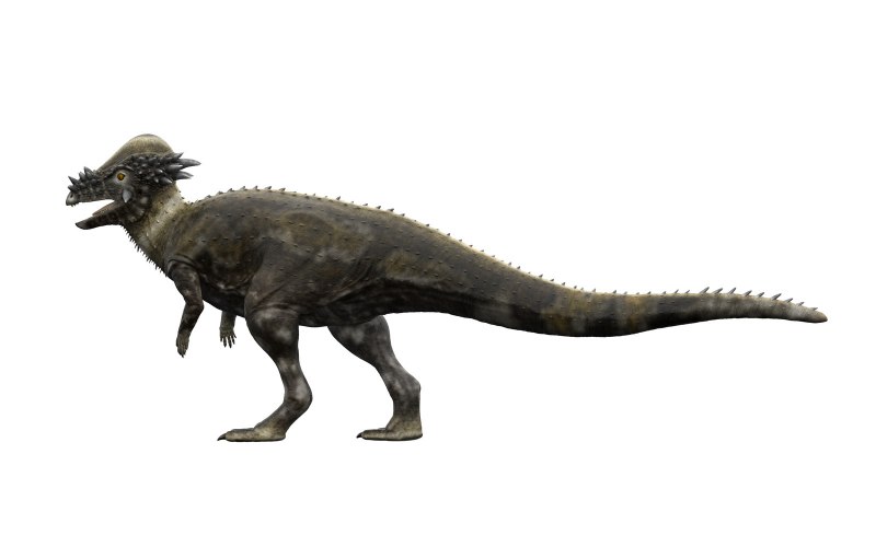 Пахицефалозавр Saurian