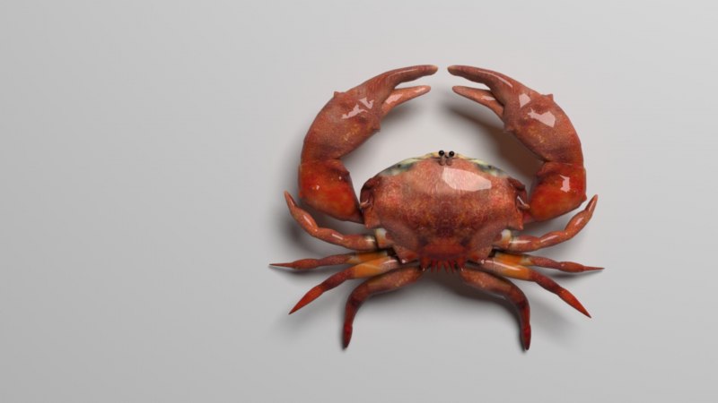 Морские организмы