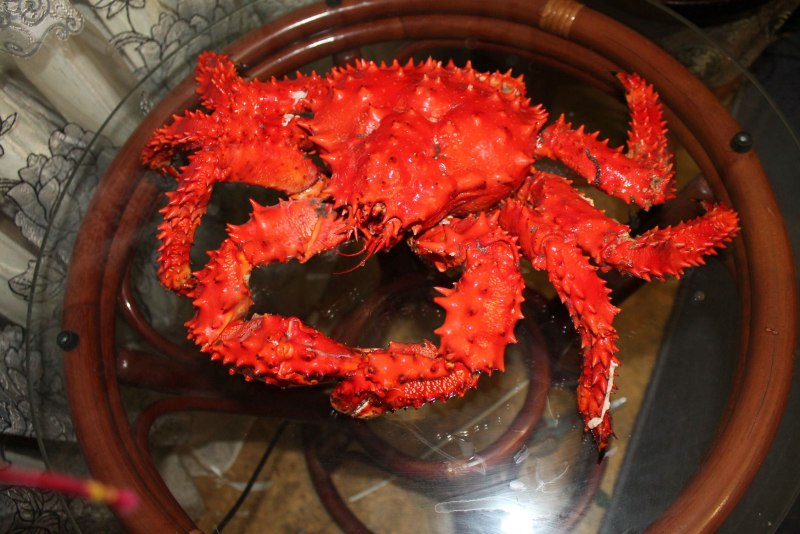 Сахалин Крабы Охотское море