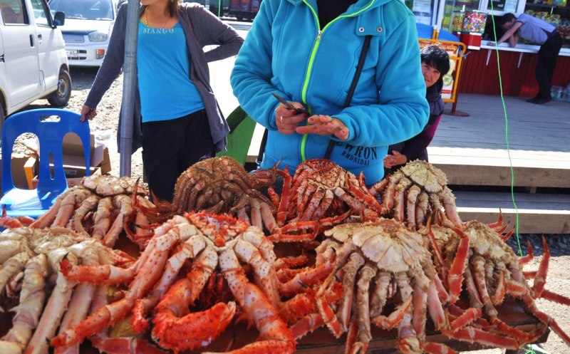 Камчатский краб Охотское море