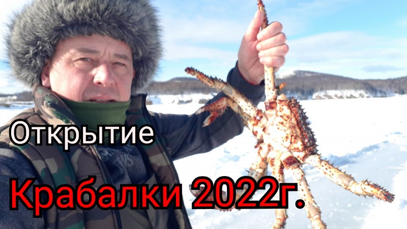 Дальневосточный морской заповедник Камчатский краб