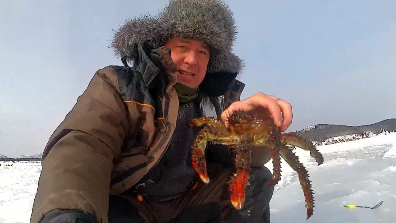 Крабы урревктикмююм Сахалин