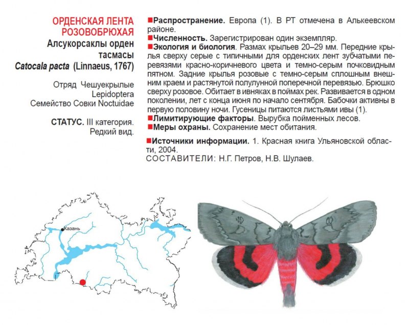 Голубая орденская лента красная книга