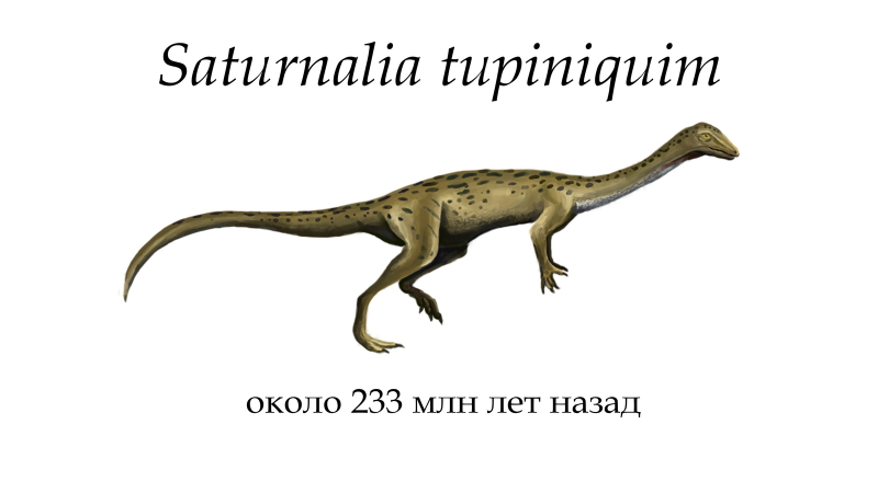 Irritator динозавр