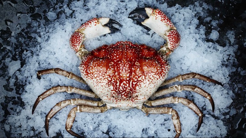 Омар краб