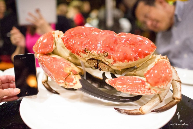 Tasmanian giant Crab, Pseudocarcinus Gigas