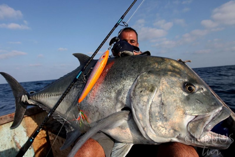 Giant Trevally рыба