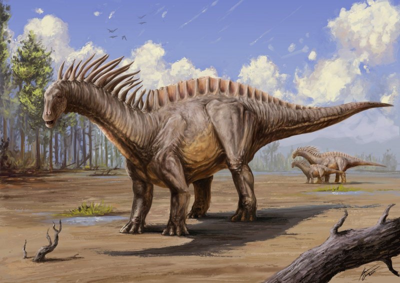 Amargasaurus динозавр