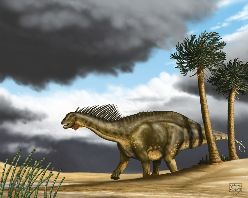 Amargasaurus cazaui