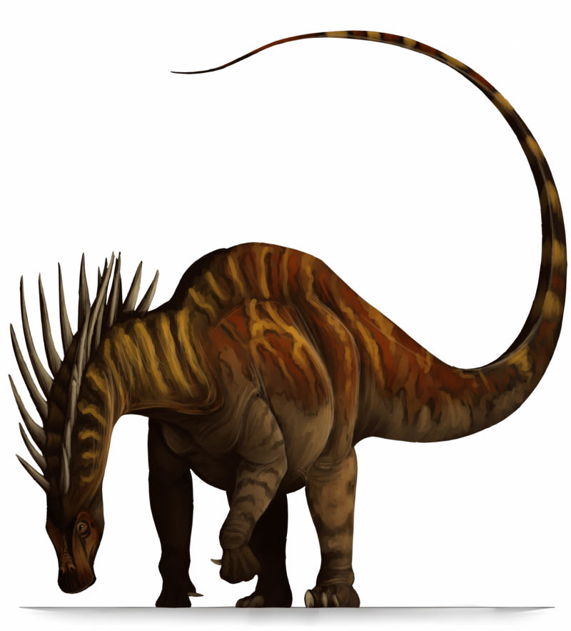 Амаргазавр (Amargasaurus)