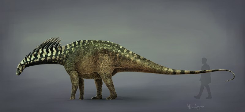 Carnotaurus & Amargasaurus