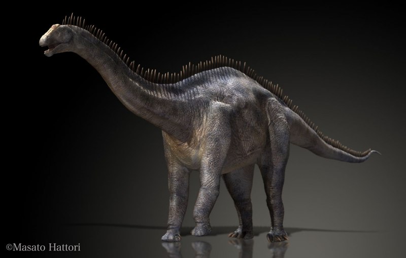 Amargasaurus cazaui