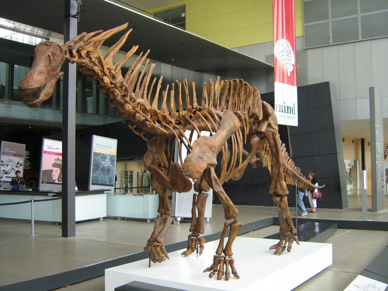 Amargasaurus cazaui