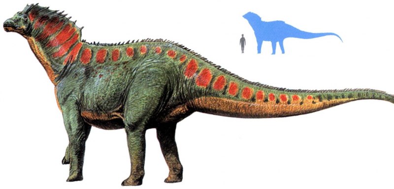 Амаргазавр Jurassic